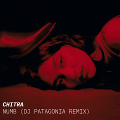 NUMB by Chitra (DJ PATAGONIA REMIX)