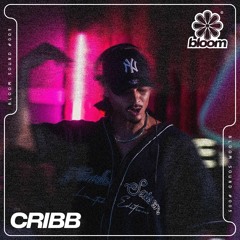 Bloom Sound #003 - CRIBB