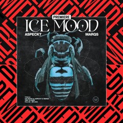 Premiere | Aspeckt, MARQS - Ice Mood [Trip to Deep]