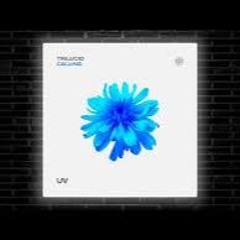 Trilucid - Calling