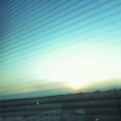 Morning (human)