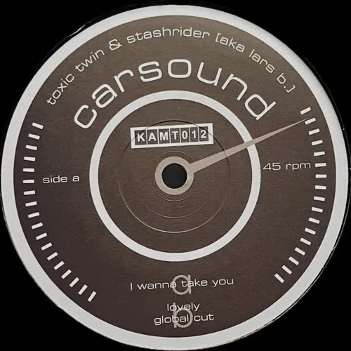 Toxic Twin & Stashrider - I Wanna Take You (Original Mix)