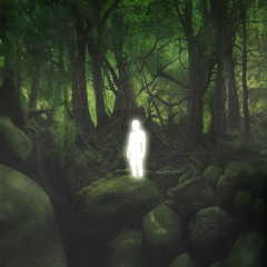 the light within