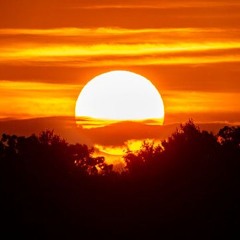 Willy3k - Simple Story