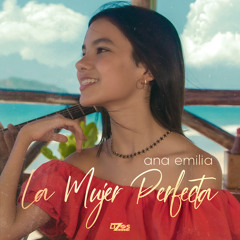 La Mujer Perfecta