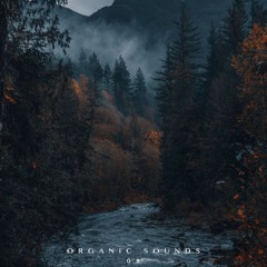 ORGANIC SOUNDS 08