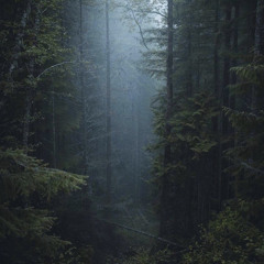 Bahramji - Laberinto