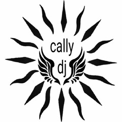 Enya Boadicea (calltech  Celtech Bootleg Remix)