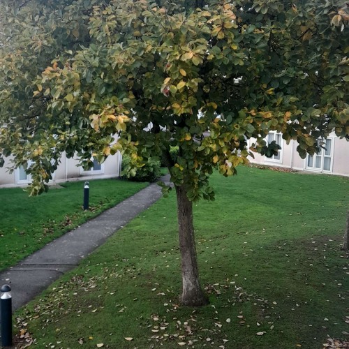 GET Up (scrap salad shit)