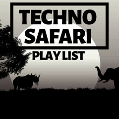 Techno Safari Tour