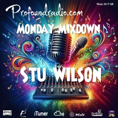 #218 Profound Radio Progressive House @djstuwilson