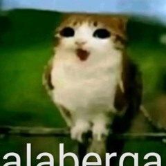 Post!post!post!post!