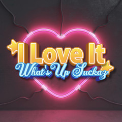What's Up Suckaz Vs I Love It (DJさっしー Mashup)