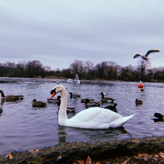 Ordinary(For Louise)Demo