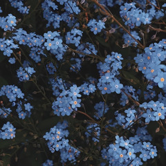 [7월13일 오후 : 마음 상하는 일]민21:4