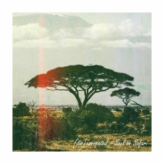 Soul On Safari