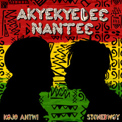 Akyekyede3 Nante3 (feat. Stonebwoy)