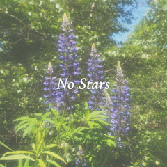 No Stars