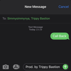 SimmySimmyNya & Trippy Bastion - Call Back