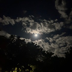 TAMARII ANAU - METUA PAARI