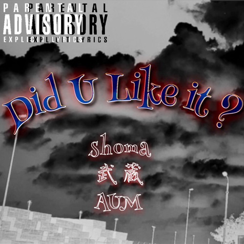 Did U Like it？feat.武蔵 / AUM