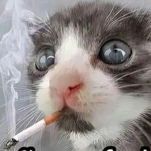 EF - AMIGA DA MINHA MULHER (feat. Ugovhb _ Yun Li)