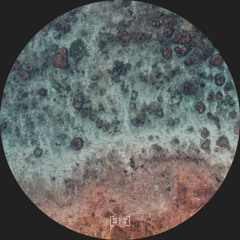 Dawn Ever - Aurora Saltans (ST083)