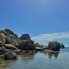 Alex Schmoll - Zimmer Des Südens