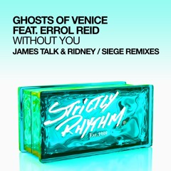 Without You (feat. Errol Reid) (James Talk & Ridney Remix)