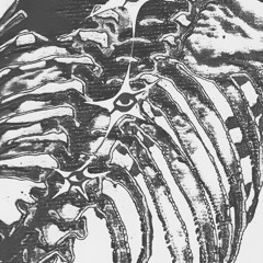 bones