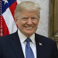 Kickback AI Trump Cover by Nardicality