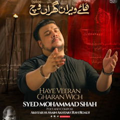 HAYE VEERAN GHARAN VICH  --  Vichora  --  Syed Mohammad Shah  --  2025