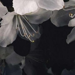 solar (from my archive)