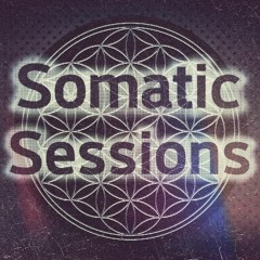 Somatic Sessions 027