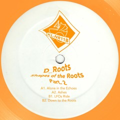A1. D Roots - Alone In The Echoes