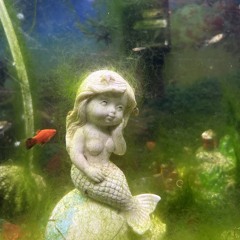 Citta ft.YELLOWUHURU Open set (live rec)