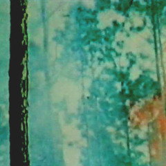 ewonee . - Eehloop