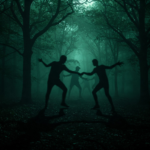 Dancing with Shadows