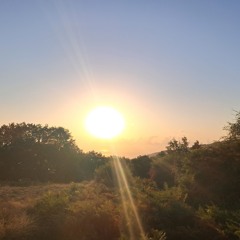 the Lost Rave // Olympus 2024