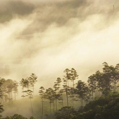 Một Cõi Tình Phai - Ca Sĩ Phương Phương Thảo ☘ Nhạc Sĩ Ngô Thụy Miên