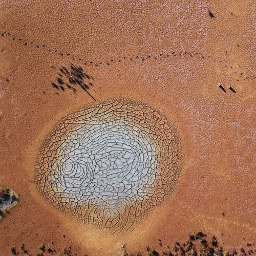 Working with Wanting