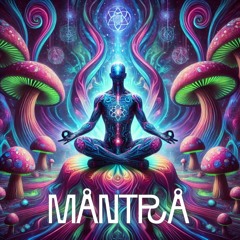 Doctor Guaxinim - Mantra(Original Mix) FREE