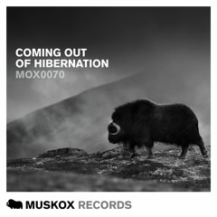 Bon-Psy - Wabi Sabi (Original Mix)