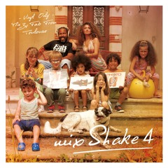 MixShake Vol 4 - Dj set by Fab From Toulouse