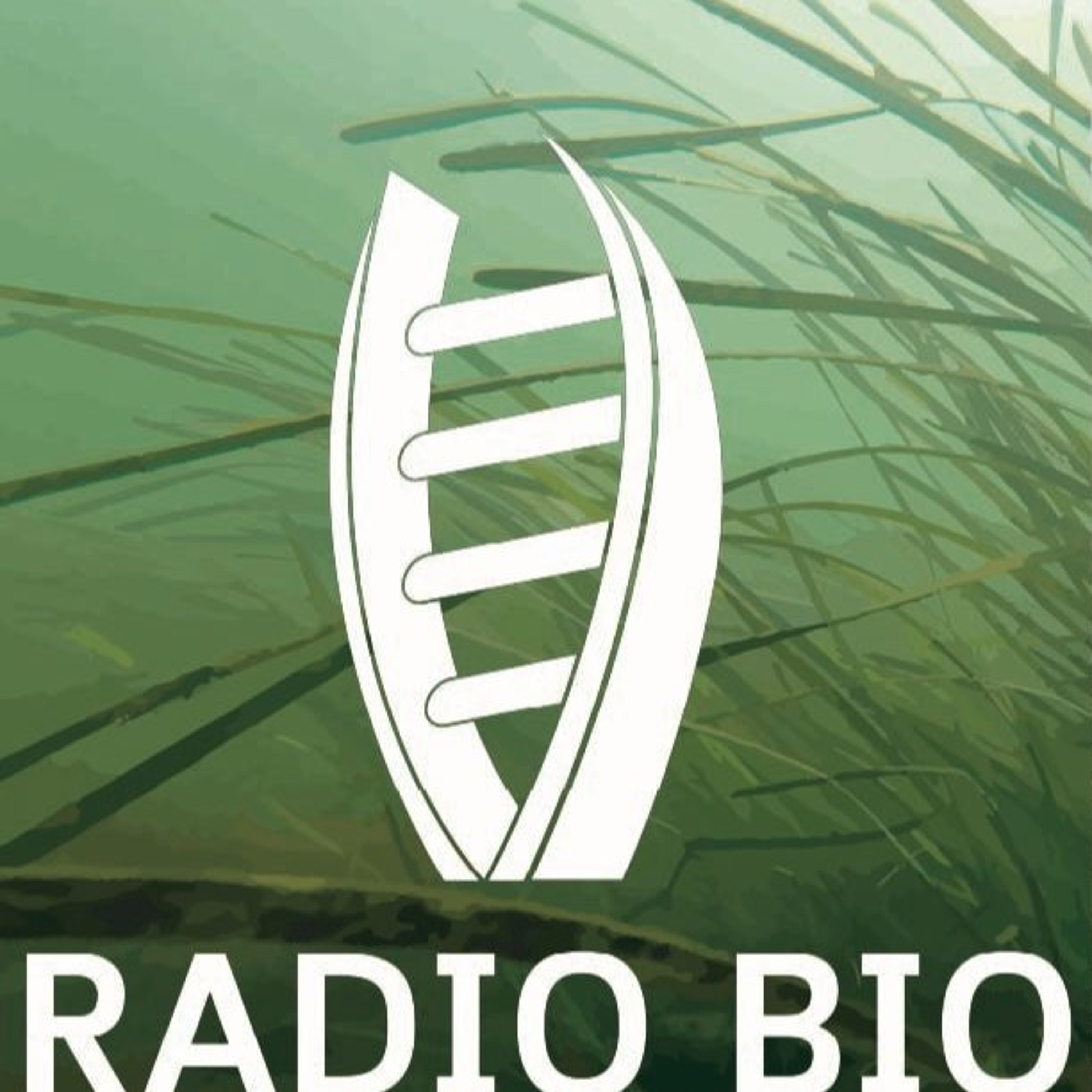 Jay Stachowicz: Small Samples, Big Discoveries - The Secrets of Seagrass