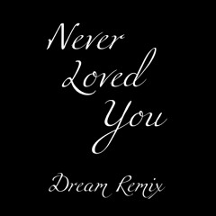 Never Loved You (Dream Remix)