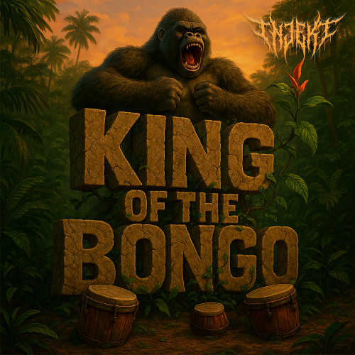King Of The Bongo