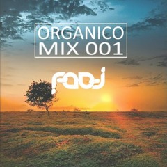 DJ FADI - ORGANICO MIX 001