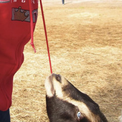 Dirty Ole Hag DDDDDDDDEMOO