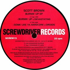 Scott Brown - Some Like Ya Hardcore